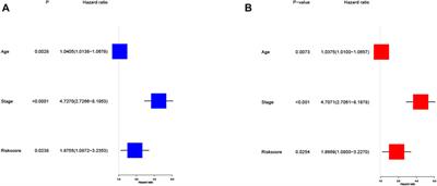 Necroptosis-Related miRNA Biomarkers for Predicting Overall Survival Outcomes for Endometrial Cancer